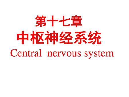 第十七章 中枢神经系统 Central nervous system.