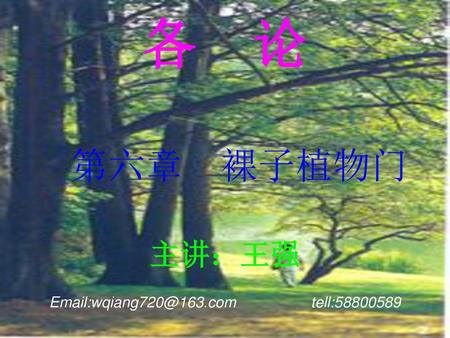 各　论 第六章　裸子植物门 主讲：王强 Email:wqiang720@163.com tell:58800589.