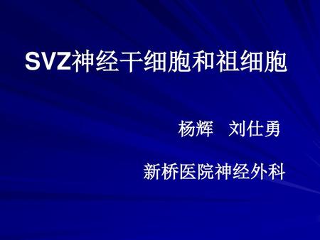 SVZ神经干细胞和祖细胞 杨辉 刘仕勇 新桥医院神经外科.