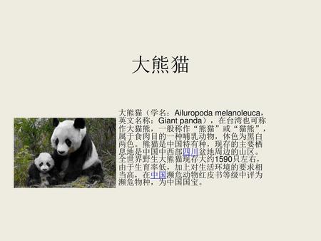 大熊猫 大熊猫（学名：Ailuropoda melanoleuca，英文名称：Giant panda），在台湾也可称作大猫熊，一般称作“熊猫”或“猫熊”，属于食肉目的一种哺乳动物，体色为黑白两色。熊猫是中国特有种，现存的主要栖息地是中国中西部四川盆地周边的山区。全世界野生大熊猫现存大约1590只左右，由于生育率低，加上对生活环境的要求相当高，在中国濒危动物红皮书等级中评为濒危物种，为中国国宝。