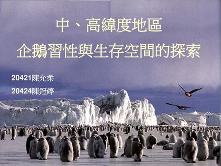 中、高緯度地區 企鵝習性與生存空間的探索 20421陳允柔 20424陳冠婷.