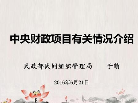 中央财政项目有关情况介绍 民政部民间组织管理局 于萌 2016年6月21日.