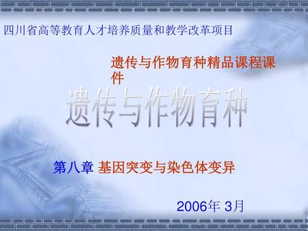 四川省高等教育人才培养质量和教学改革项目