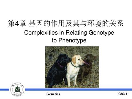 Complexities in Relating Genotype to Phenotype