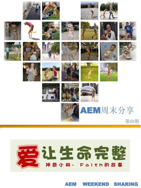 AEM周末分享 第60期 AEM WEEKEND SHARING.