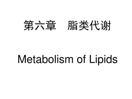 第六章 脂类代谢 Metabolism of Lipids.