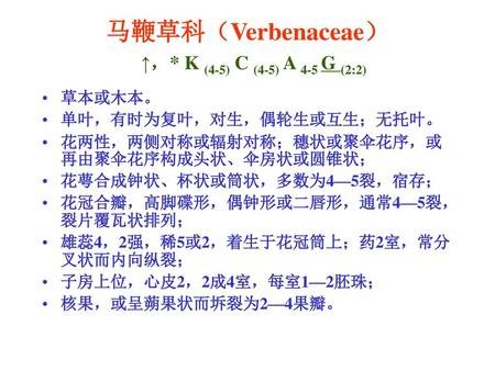马鞭草科（Verbenaceae） ↑，* K (4-5) C (4-5) A 4-5 G (2:2)