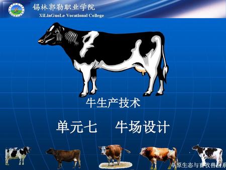 牛生产技术 单元七 牛场设计.