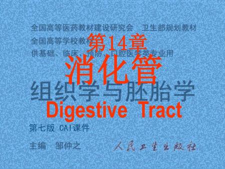 第14章 消化管 Digestive Tract.