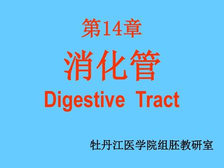 第14章 消化管 Digestive Tract 牡丹江医学院组胚教研室.