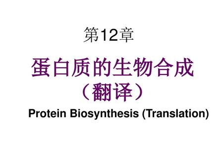 Protein Biosynthesis (Translation)