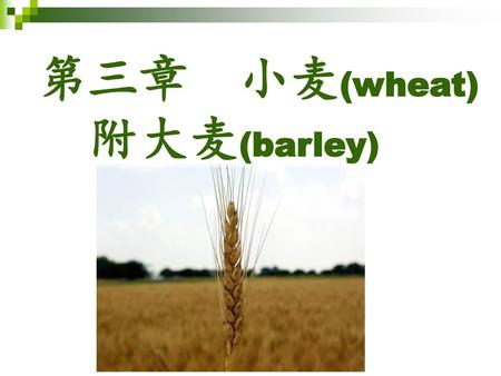 第三章 小麦(wheat) 附大麦(barley).