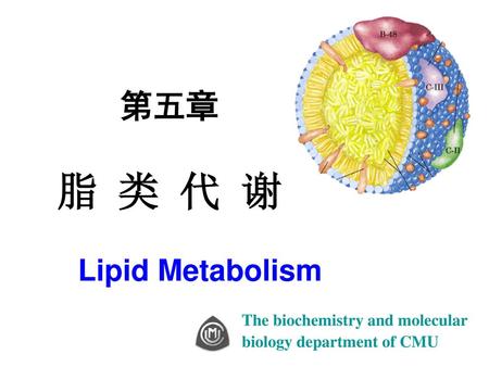 第五章 脂 类 代 谢 Lipid Metabolism