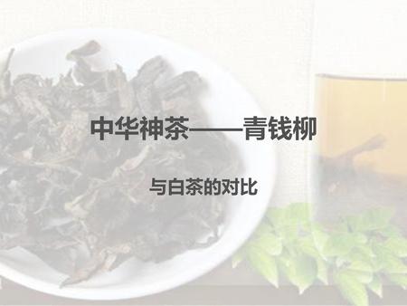 中华神茶——青钱柳 与白茶的对比.