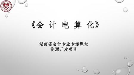 《会 计 电 算 化》 湖南省会计专业专递课堂资源开发项目.