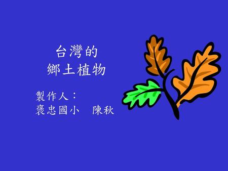 台灣的 鄉土植物 製作人： 褒忠國小　陳秋.
