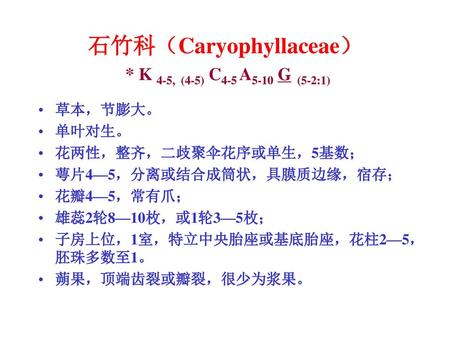 石竹科（Caryophyllaceae） * K 4-5, (4-5) C4-5 A5-10 G (5-2:1)