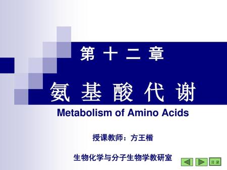 氨 基 酸 代 谢 Metabolism of Amino Acids 授课教师：方王楷 生物化学与分子生物学教研室