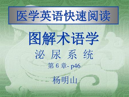 医学英语快速阅读 图解术语学 泌 尿 系 统 第６章- p46 杨明山.