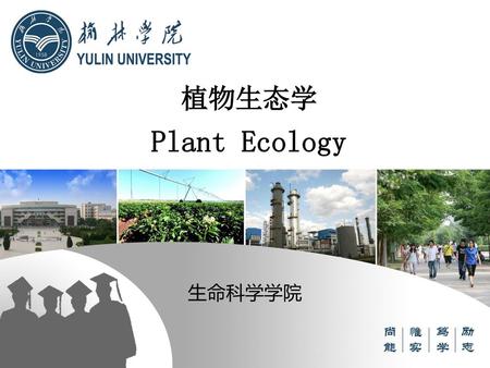 植物生态学 Plant Ecology 生命科学学院.