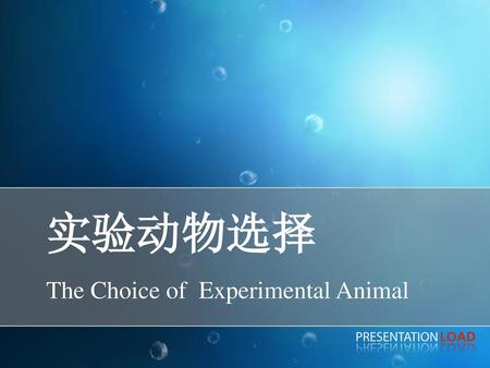 The Choice of Experimental Animal