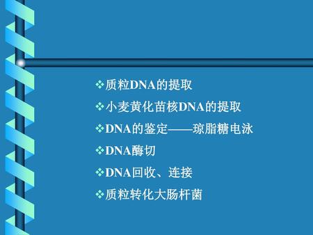 质粒DNA的提取 小麦黄化苗核DNA的提取 DNA的鉴定——琼脂糖电泳 DNA酶切 DNA回收、连接 质粒转化大肠杆菌.