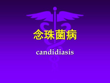 念珠菌病 candidiasis.