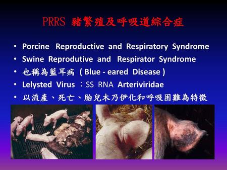 PRRS 豬繁殖及呼吸道綜合症 Porcine Reproductive and Respiratory Syndrome