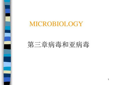 MICROBIOLOGY 第三章病毒和亚病毒.