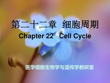 第二十二章 细胞周期 Chapter 22 Cell Cycle