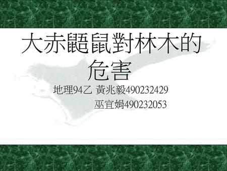 大赤鼯鼠對林木的危害 地理94乙 黃兆毅490232429 巫宜娟490232053.