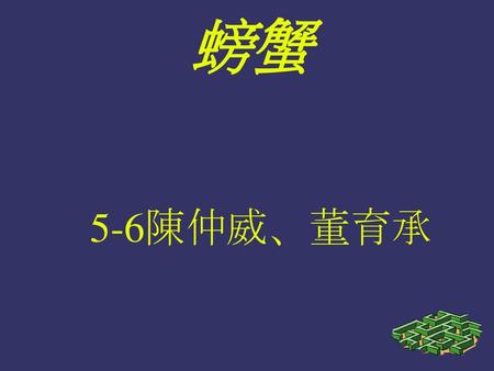 螃蟹 5-6陳仲威、董育承.