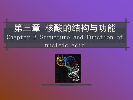 第三章 核酸的结构与功能 Chapter 3 Structure and Function of nucleic acid