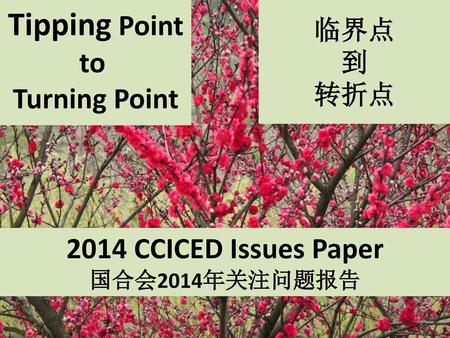 Tipping Point to Turning Point 2014 CCICED Issues Paper 临界点 到 转折点