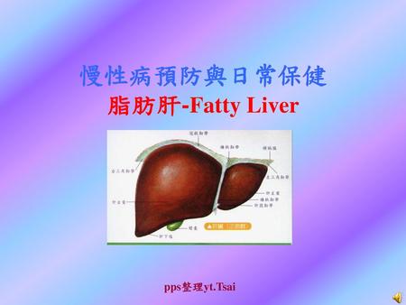 慢性病預防與日常保健 脂肪肝-Fatty Liver