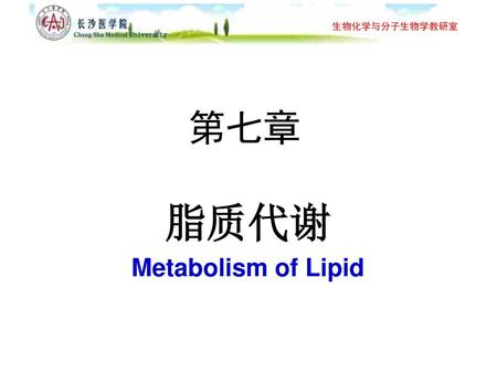脂质代谢 Metabolism of Lipid