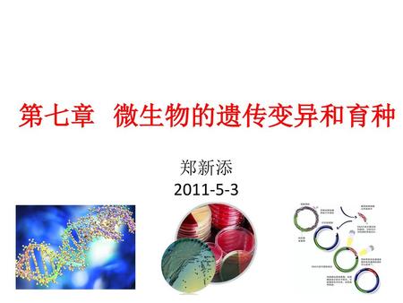 第七章 微生物的遗传变异和育种 郑新添 2011-5-3.