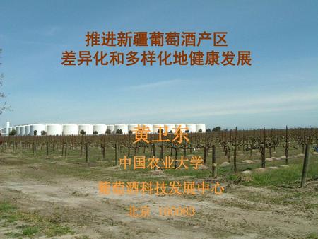 推进新疆葡萄酒产区 差异化和多样化地健康发展 黄卫东 中国农业大学 葡萄酒科技发展中心 北京 100083.