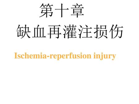 第十章 缺血再灌注损伤 Ischemia-reperfusion injury.