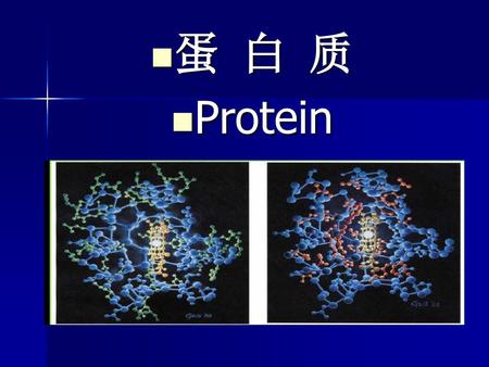蛋 白 质 Protein.