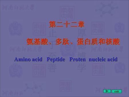 第二十二章 氨基酸、多肽、蛋白质和核酸 Amino acid Peptide Proten nucleic acid