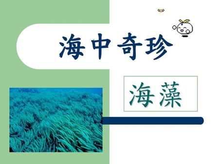 海中奇珍 海藻.