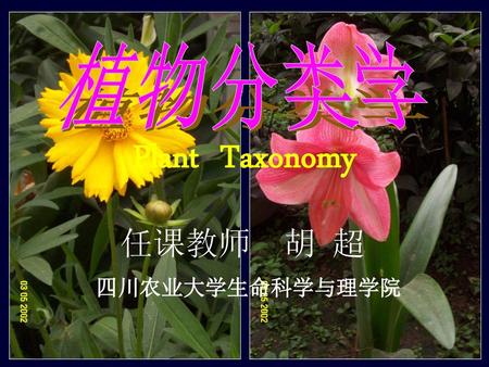 植物分类学 Plant Taxonomy 任课教师 胡 超 四川农业大学生命科学与理学院.