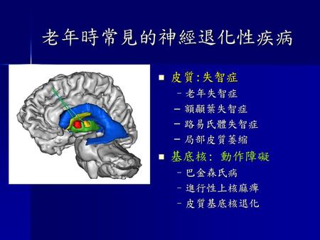 老年時常見的神經退化性疾病 皮質:失智症 基底核: 動作障礙 老年失智症 額顳葉失智症 路易氏體失智症 局部皮質萎縮 巴金森氏病