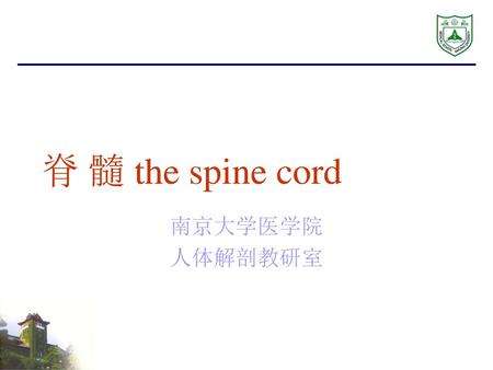 脊 髓 the spine cord 南京大学医学院 人体解剖教研室.
