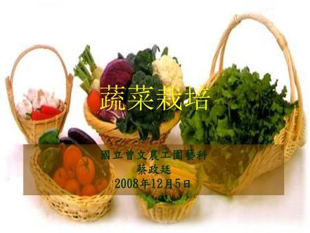 蔬菜栽培 國立曾文農工園藝科 蔡政廷 2008年12月5日.
