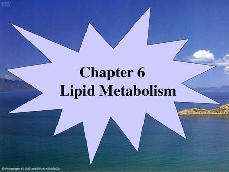 Chapter 6 Lipid Metabolism 第六章 脂 类 代 谢.