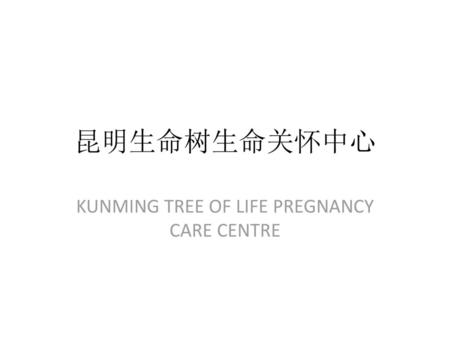 KUNMING TREE OF LIFE PREGNANCY CARE CENTRE