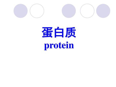 蛋白质 protein.