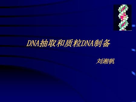 DNA抽取和质粒DNA制备 刘湘帆.